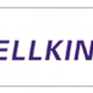 DELLKING